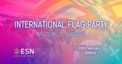 Image of International Flag Party